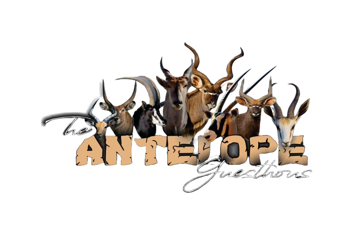 Antelope Guest House Logo